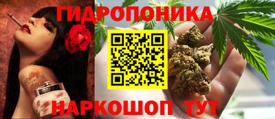 трава Пыть-Ях